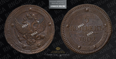 129005230